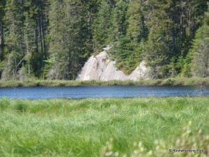 Boulder along pond's southern shore