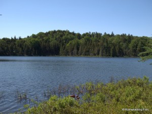 First unnamed pond