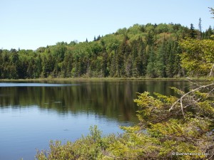 Second unnamed pond