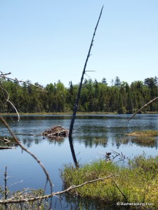 Third unnamed pond