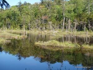 Crooked Lake's southern bay