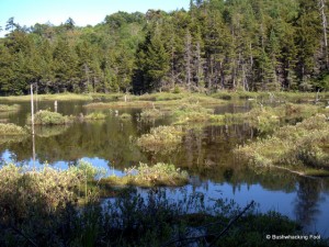 Crooked Lake's southern bay