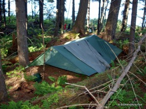 Campsite near Crooked Lake