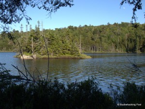 Island on Crooked Lake