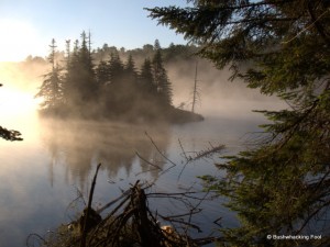 Island on Crooked Lake