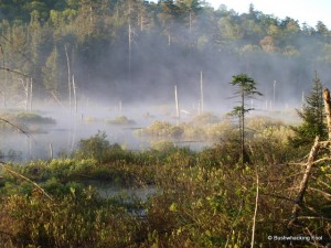 Foggy southern bay of Crooked Lake