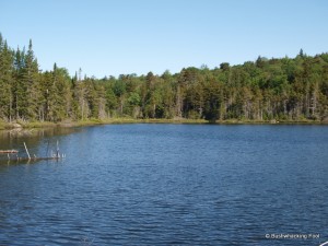 Western end of Crooked Lake