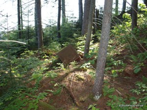 Third stove at Crooked Lake