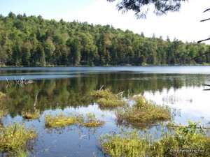 Last look back at Crooked Lake