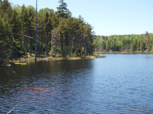 Unnamed destination pond