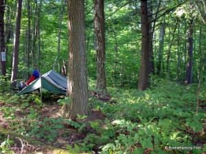 Campsite at Sitz Pond