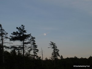 Moon over Sitz Pond