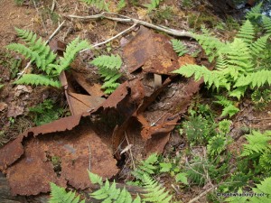 Metal debris at Upper South Pond