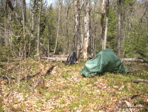 Lunch site