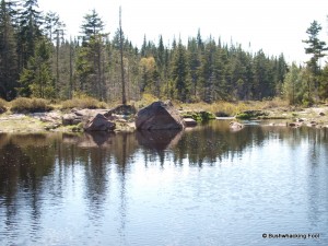 Pond in large beaver vly