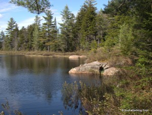 Deer Pond