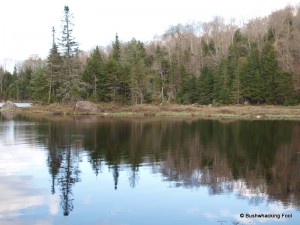 Sunshine Pond