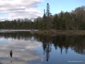 Sunshine Pond