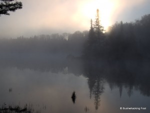 Foggy Sunshine Pond