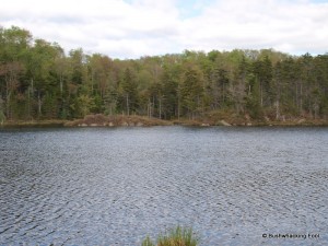 Cropsey Pond