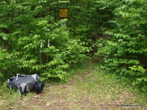 End of Raven Lake Rd.