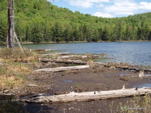 Peaked Mountain Lake