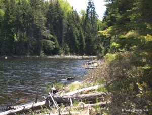 Hidden Lake