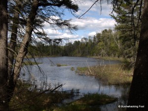 Unnamed pond