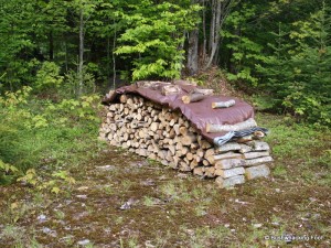 Wood pile