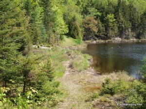 Slim Pond dam crossing