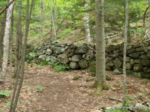 Rock wall near trailhead