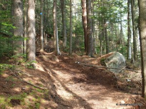 Climbing trail