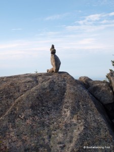 Cairn marking trail