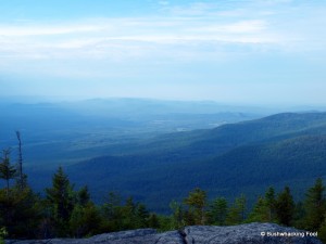 View from ridge