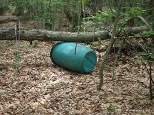 Green barrel north of Negro Lake