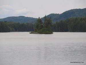 Island on Negro Lake