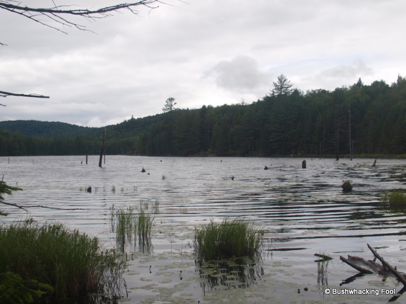 Beaverdam Pond