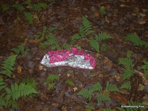 Balloon at Beaverdam 