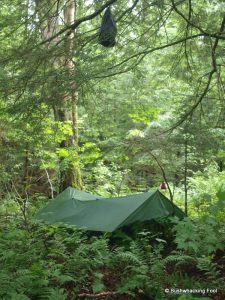 Beaverdam Pond Campsite