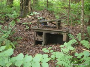 Stove at Beaverdam Pond