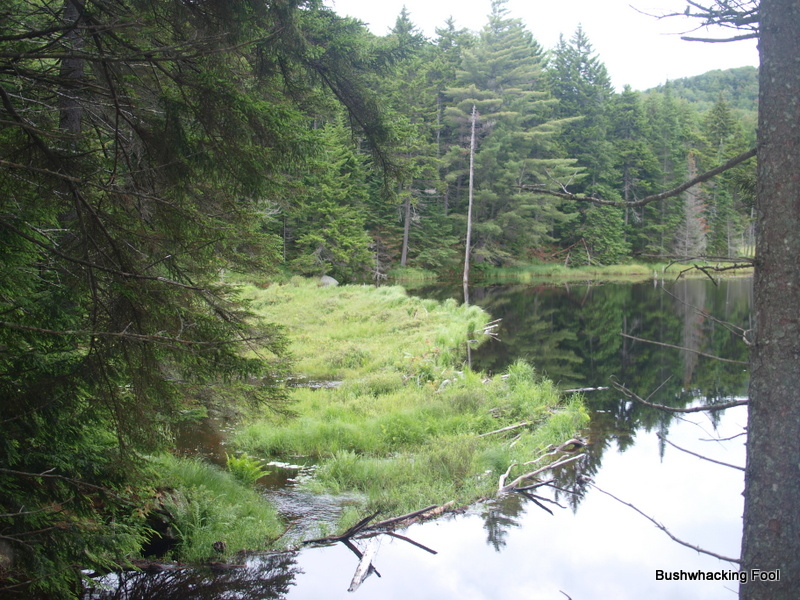 Beaverdam Pond dam