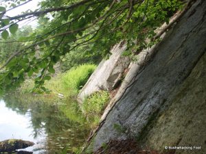 Rocky slab along channel on Little Rock Pond