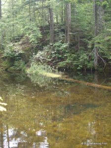 Channel on Little Rock Pond