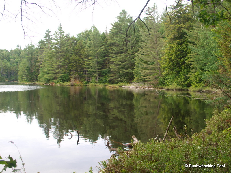 Little Rock Pond's western end