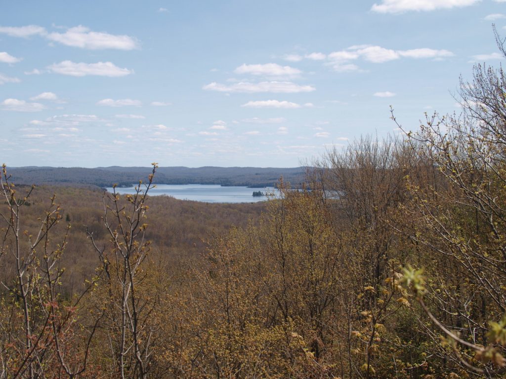 View of Stillwater Reservoir from near Shallow Pond in the Pepperbox Wilderness Area of the Adirondack Park